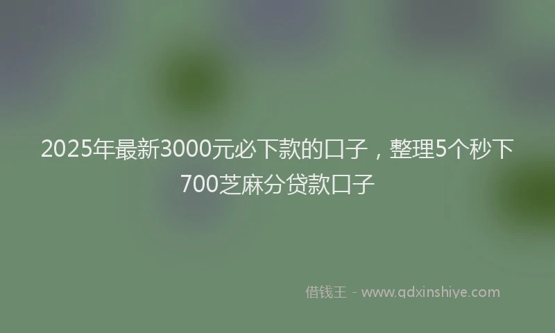 2025年最新3000元必下款的口子，整理5个秒下700芝麻分贷款口子