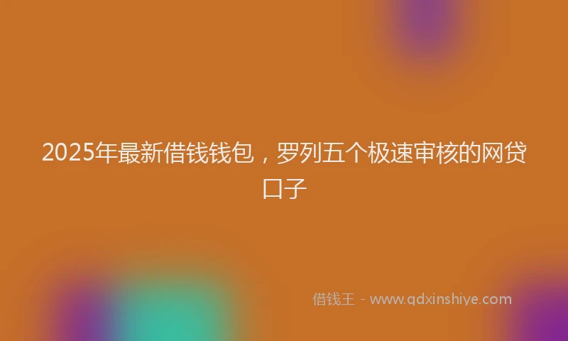 2025年最新借钱钱包，罗列五个极速审核的网贷口子