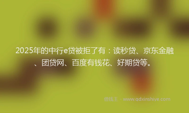 2025年的中行e贷被拒了有：读秒贷、京东金融、团贷网、百度有钱花、好期贷等。