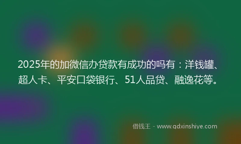2025年的加微信办贷款有成功的吗有：洋钱罐、超人卡、平安口袋银行、51人品贷、融逸花等。