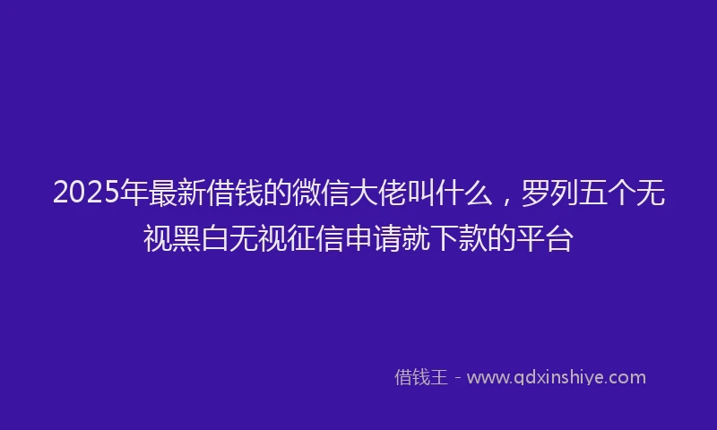 2025年最新借钱的微信大佬叫什么，罗列五个无视黑白无视征信申请就下款的平台