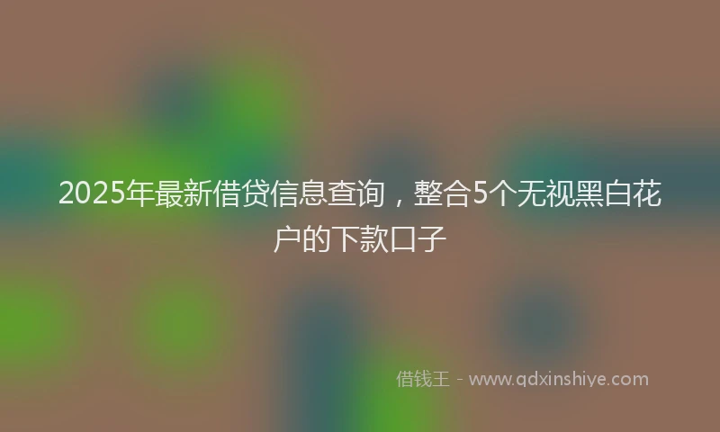 2025年最新借贷信息查询，整合5个无视黑白花户的下款口子