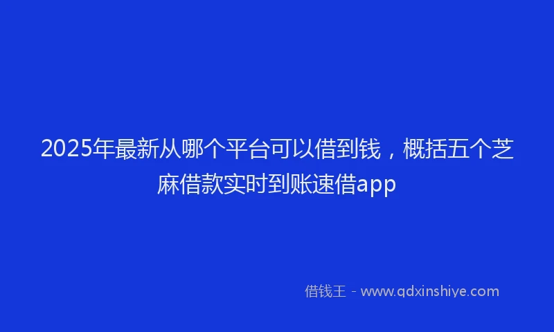 2025年最新从哪个平台可以借到钱，概括五个芝麻借款实时到账速借app