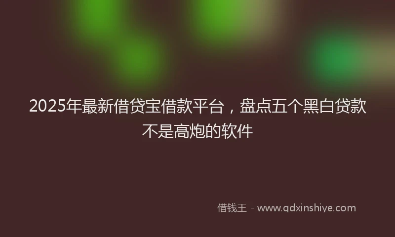 2025年最新借贷宝借款平台，盘点五个黑白贷款不是高炮的软件