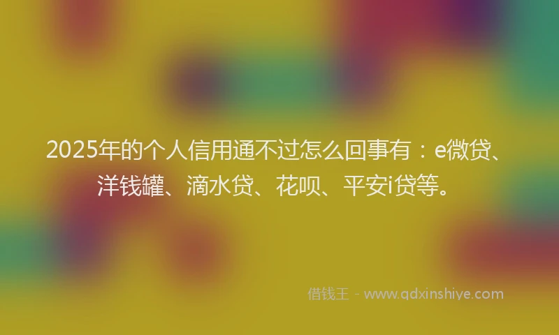 2025年的个人信用通不过怎么回事有：e微贷、洋钱罐、滴水贷、花呗、平安i贷等。