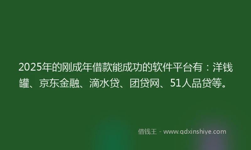 2025年的刚成年借款能成功的软件平台有：洋钱罐、京东金融、滴水贷、团贷网、51人品贷等。