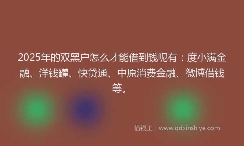 2025年的双黑户怎么才能借到钱呢有：度小满金融、洋钱罐、快贷通、中原消费金融、微博借钱等。