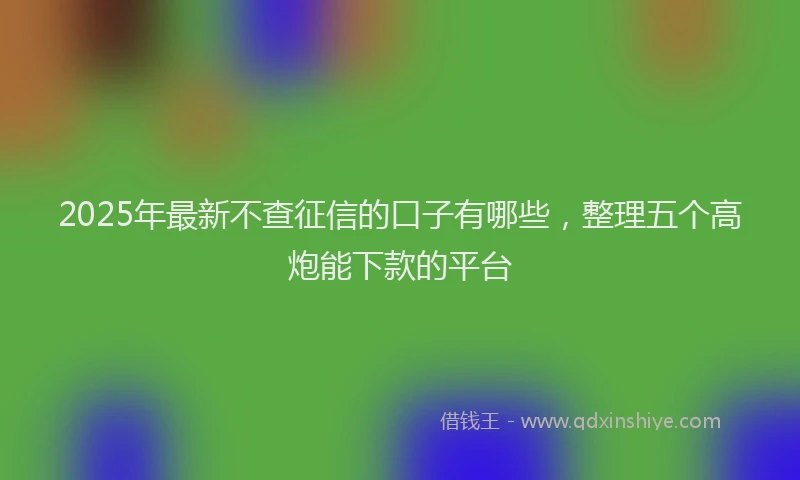 2025年最新不查征信的口子有哪些，整理五个高炮能下款的平台
