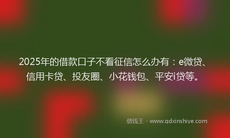 2025年的借款口子不看征信怎么办有：e微贷、信用卡贷、投友圈、小花钱包、平安i贷等。
