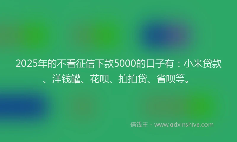 2025年的不看征信下款5000的口子有：小米贷款、洋钱罐、花呗、拍拍贷、省呗等。