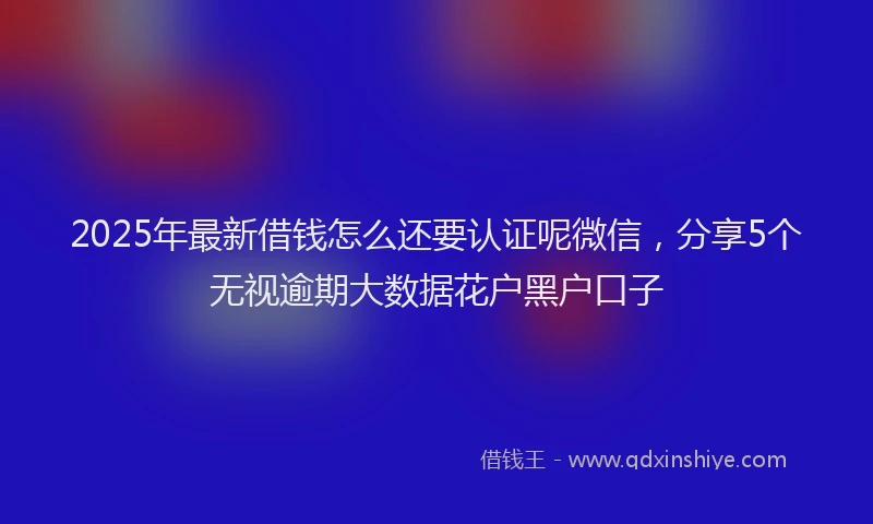 2025年最新借钱怎么还要认证呢微信，分享5个无视逾期大数据花户黑户口子