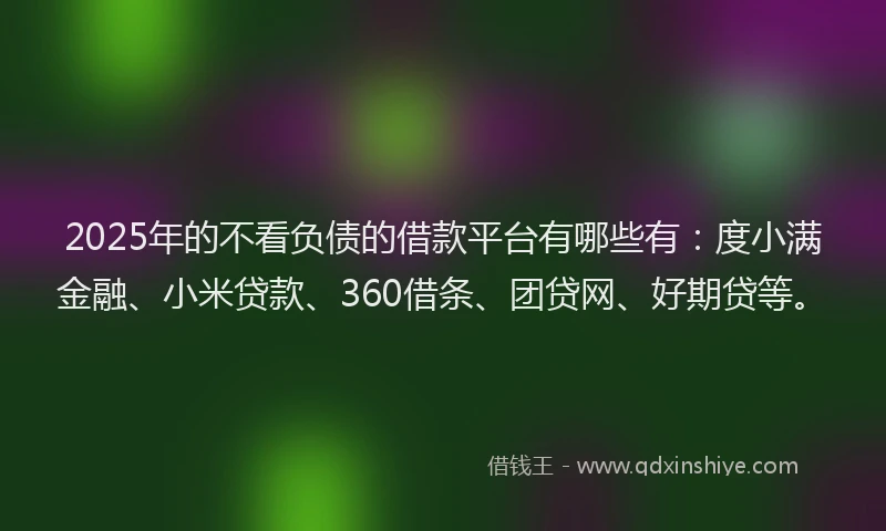 2025年的不看负债的借款平台有哪些有：度小满金融、小米贷款、360借条、团贷网、好期贷等。