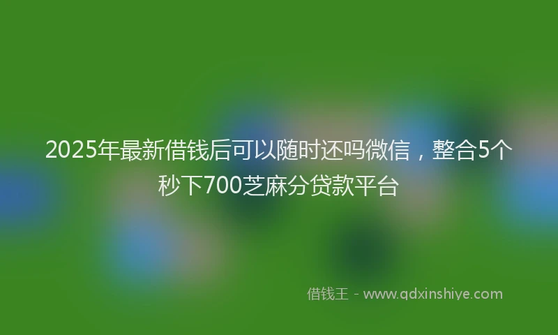 2025年最新借钱后可以随时还吗微信，整合5个秒下700芝麻分贷款平台
