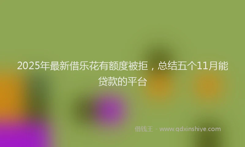 2025年最新借乐花有额度被拒，总结五个11月能贷款的平台