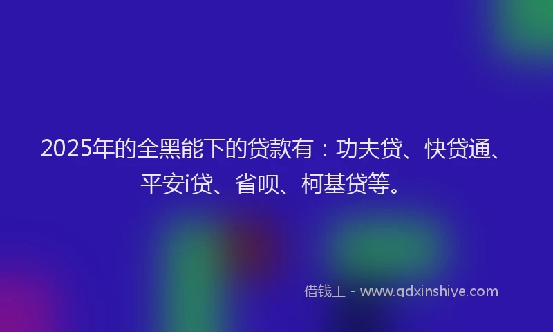 2025年的全黑能下的贷款有：功夫贷、快贷通、平安i贷、省呗、柯基贷等。