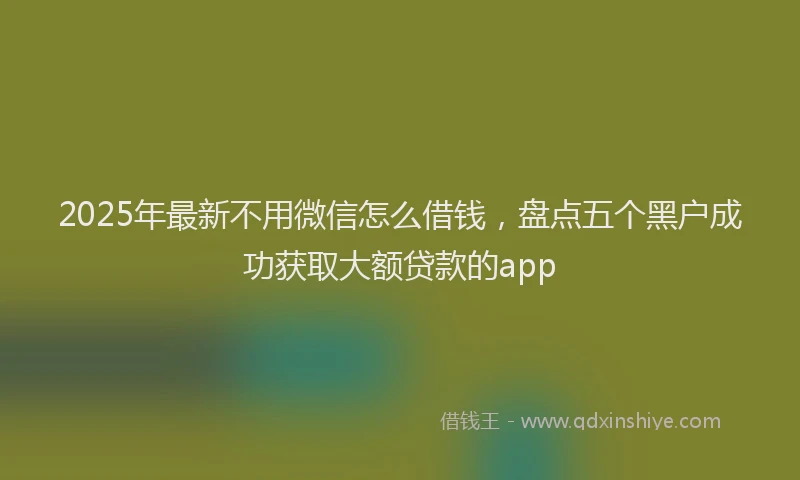 2025年最新不用微信怎么借钱，盘点五个黑户成功获取大额贷款的app