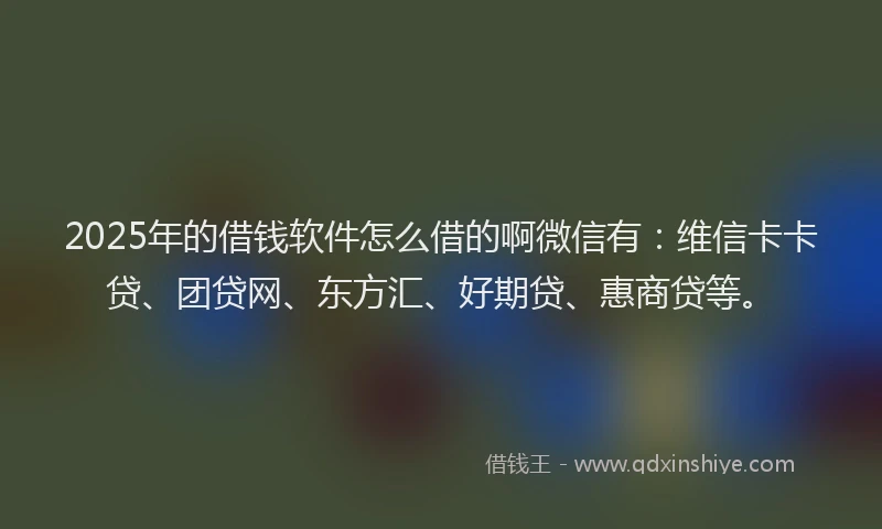 2025年的借钱软件怎么借的啊微信有：维信卡卡贷、团贷网、东方汇、好期贷、惠商贷等。