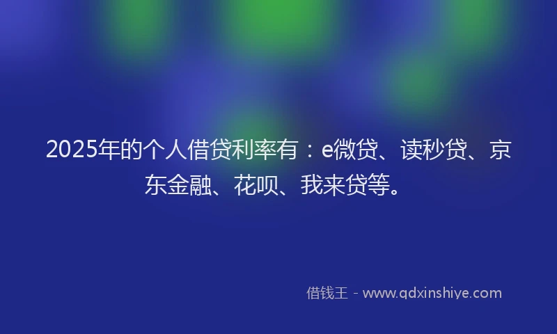 2025年的个人借贷利率有：e微贷、读秒贷、京东金融、花呗、我来贷等。
