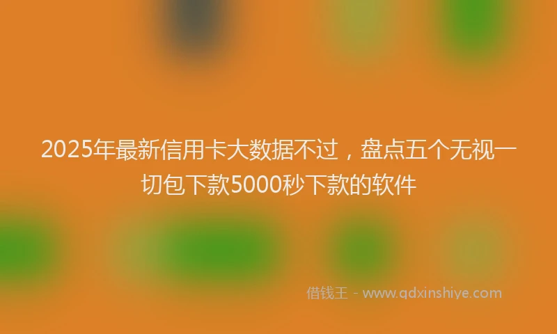 2025年最新信用卡大数据不过，盘点五个无视一切包下款5000秒下款的软件