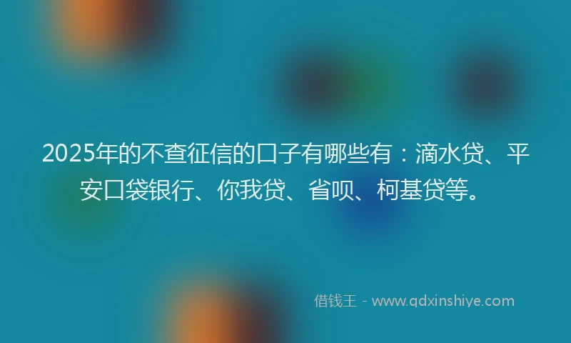 2025年的不查征信的口子有哪些有：滴水贷、平安口袋银行、你我贷、省呗、柯基贷等。