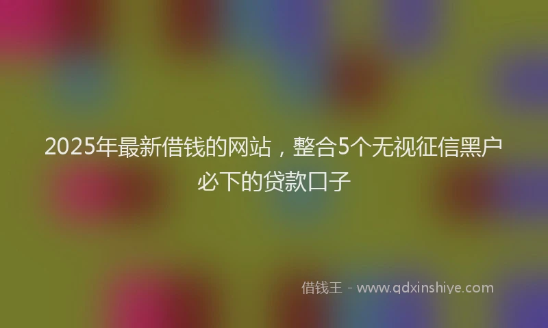 2025年最新借钱的网站，整合5个无视征信黑户必下的贷款口子