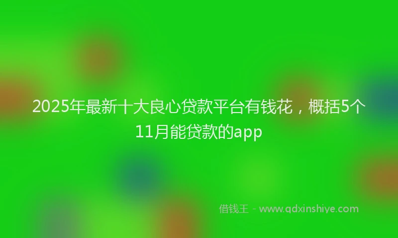 2025年最新十大良心贷款平台有钱花，概括5个11月能贷款的app
