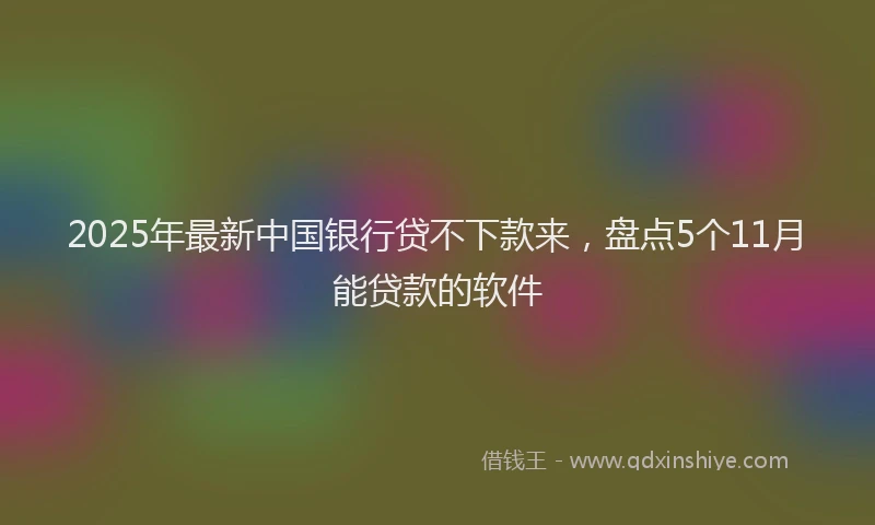 2025年最新中国银行贷不下款来，盘点5个11月能贷款的软件