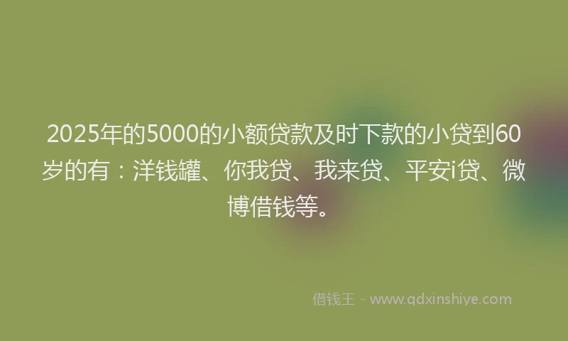 2025年的5000的小额贷款及时下款的小贷到60岁的有：洋钱罐、你我贷、我来贷、平安i贷、微博借钱等。