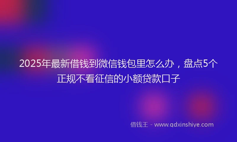 2025年最新借钱到微信钱包里怎么办，盘点5个正规不看征信的小额贷款口子