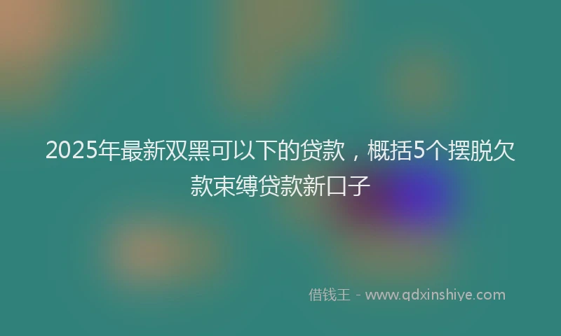 2025年最新双黑可以下的贷款，概括5个摆脱欠款束缚贷款新口子