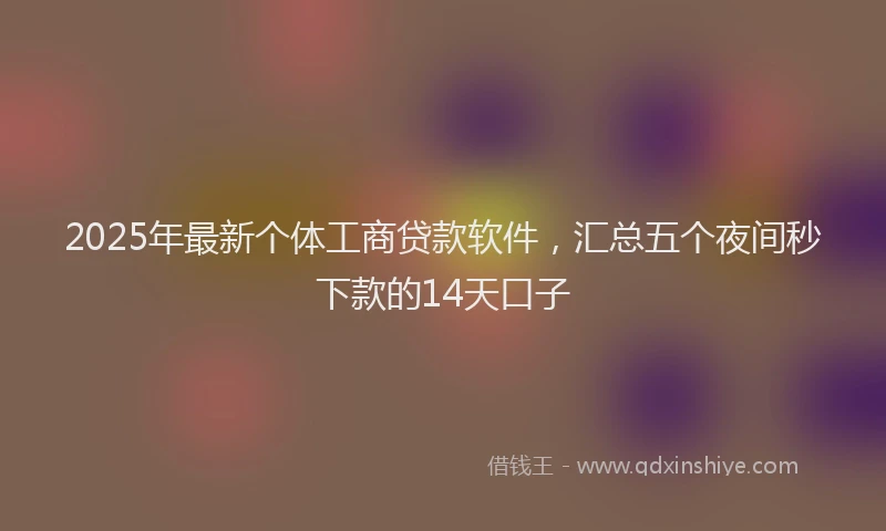 2025年最新个体工商贷款软件，汇总五个夜间秒下款的14天口子