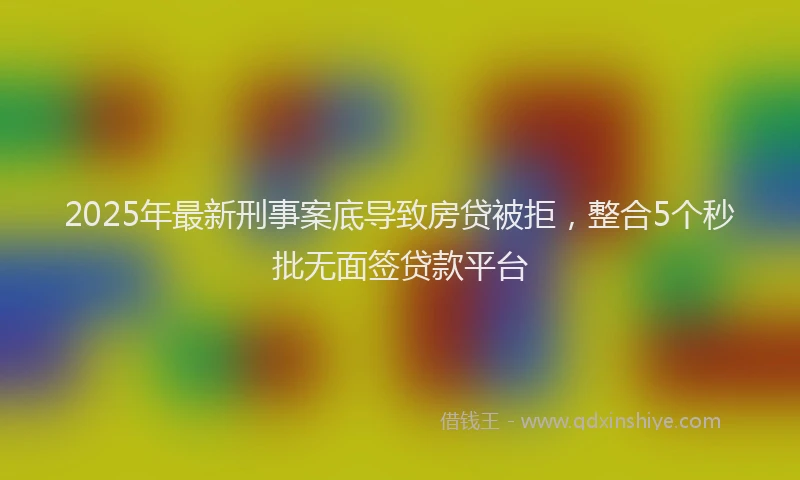2025年最新刑事案底导致房贷被拒，整合5个秒批无面签贷款平台