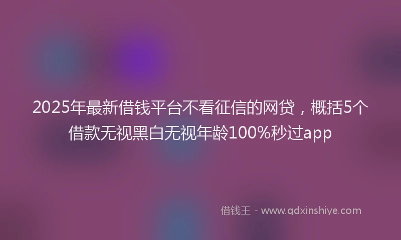 2025年最新借钱平台不看征信的网贷，概括5个借款无视黑白无视年龄100%秒过app