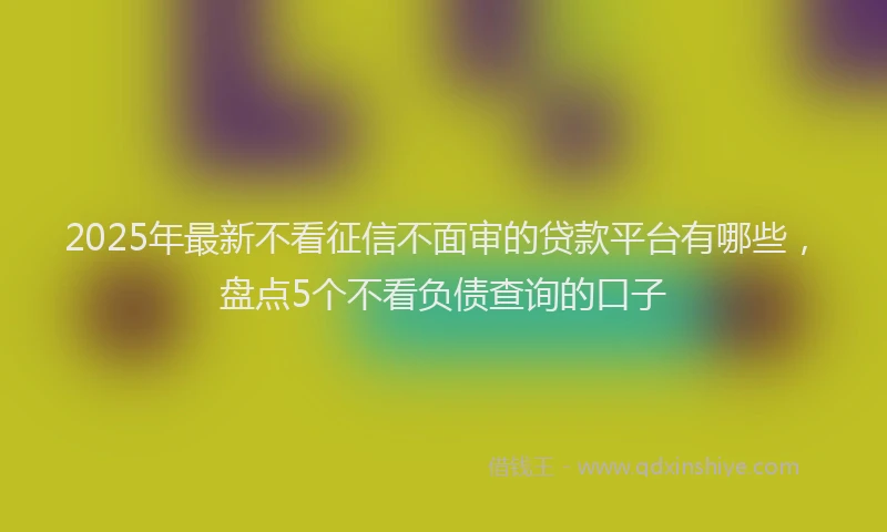 2025年最新不看征信不面审的贷款平台有哪些，盘点5个不看负债查询的口子