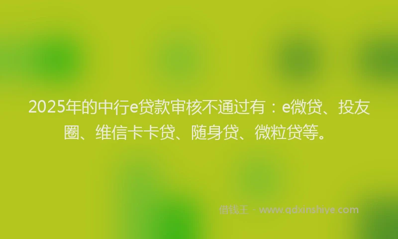 2025年的中行e贷款审核不通过有：e微贷、投友圈、维信卡卡贷、随身贷、微粒贷等。