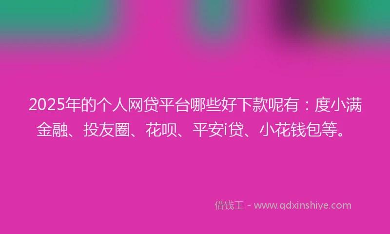 2025年的个人网贷平台哪些好下款呢有：度小满金融、投友圈、花呗、平安i贷、小花钱包等。