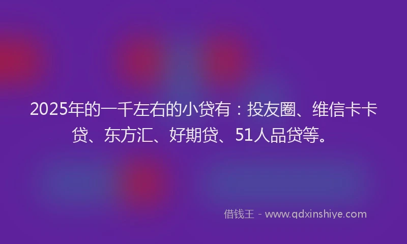 2025年的一千左右的小贷有：投友圈、维信卡卡贷、东方汇、好期贷、51人品贷等。