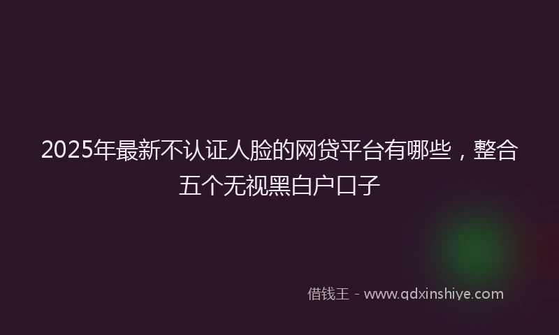 2025年最新不认证人脸的网贷平台有哪些，整合五个无视黑白户口子