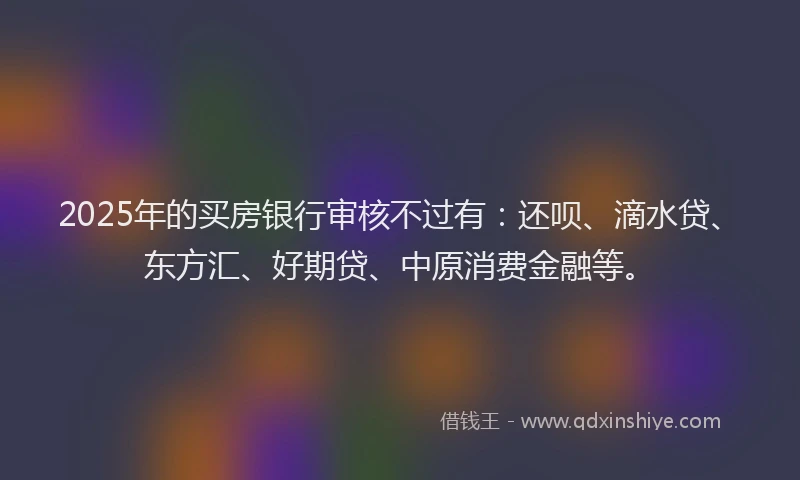 2025年的买房银行审核不过有：还呗、滴水贷、东方汇、好期贷、中原消费金融等。