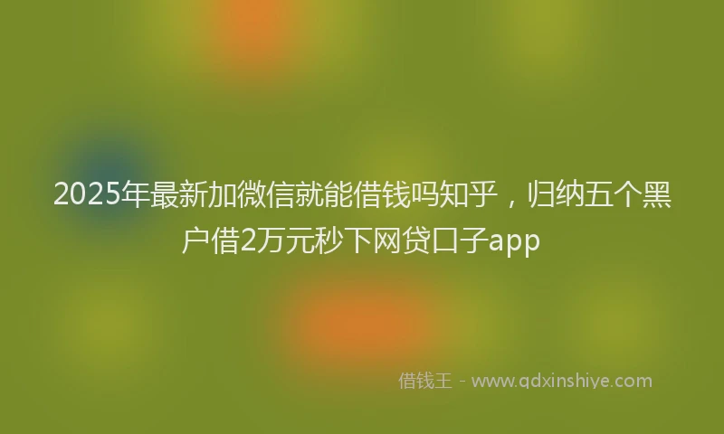 2025年最新加微信就能借钱吗知乎，归纳五个黑户借2万元秒下网贷口子app
