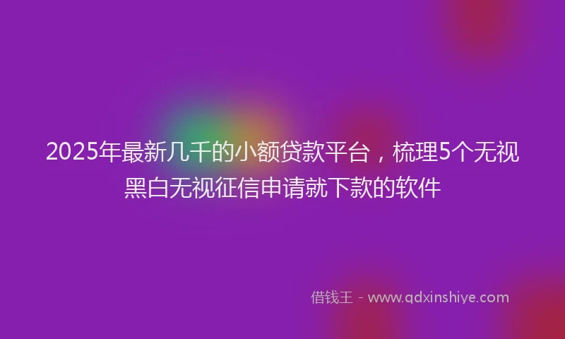 2025年最新几千的小额贷款平台，梳理5个无视黑白无视征信申请就下款的软件