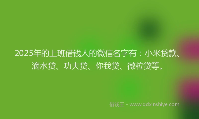 2025年的上班借钱人的微信名字有：小米贷款、滴水贷、功夫贷、你我贷、微粒贷等。