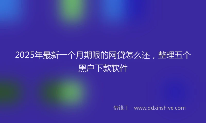 2025年最新一个月期限的网贷怎么还，整理五个黑户下款软件