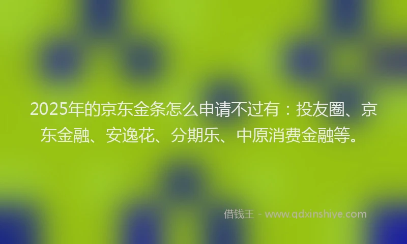 2025年的京东金条怎么申请不过有：投友圈、京东金融、安逸花、分期乐、中原消费金融等。