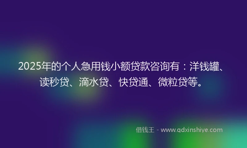 2025年的个人急用钱小额贷款咨询有：洋钱罐、读秒贷、滴水贷、快贷通、微粒贷等。