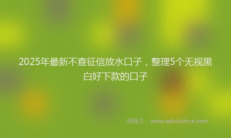 2025年最新不查征信放水口子，整理5个无视黑白好下款的口子