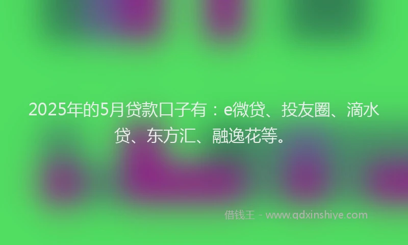 2025年的5月贷款口子有：e微贷、投友圈、滴水贷、东方汇、融逸花等。