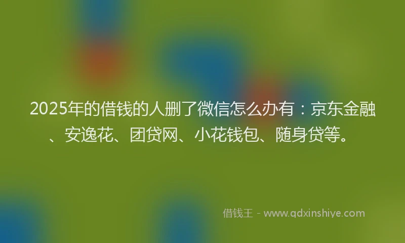 2025年的借钱的人删了微信怎么办有：京东金融、安逸花、团贷网、小花钱包、随身贷等。