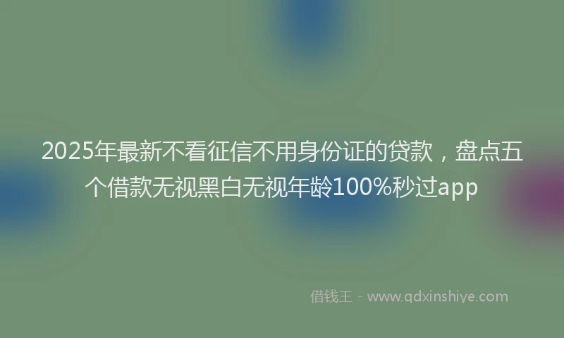 2025年最新不看征信不用身份证的贷款，盘点五个借款无视黑白无视年龄100%秒过app
