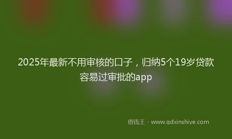 2025年最新不用审核的口子，归纳5个19岁贷款容易过审批的app